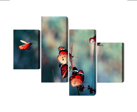 Obraz Wieloczęściowy Kolorowe Motyle W Skali Makro Canvas Naturalny 120x75 LBS-3826-NC120-75_2X30-75_2X30-45