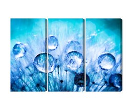 Obraz Wieloczęściowy Krople Rosy Na Nasionach Mniszka Lekarskiego W Skali Makro Canvas 120x80 LBS-3703-C120-80_3X40-80