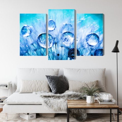 Obraz Wieloczęściowy Krople Rosy Na Nasionach Mniszka Lekarskiego W Skali Makro Canvas 120x80 LBS-3704-C120-80_1X40-80_2X40-60