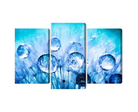 Obraz Wieloczęściowy Krople Rosy Na Nasionach Mniszka Lekarskiego W Skali Makro Canvas Naturalny 90x60 LBS-3704-NC90-60_1X30-60