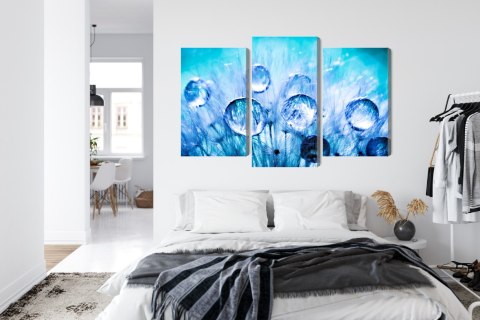 Obraz Wieloczęściowy Krople Rosy Na Nasionach Mniszka Lekarskiego W Skali Makro Canvas Naturalny 90x60 LBS-3704-NC90-60_1X30-60