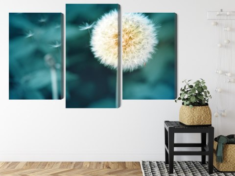 Obraz Wieloczęściowy Kwiat Mniszka Z Bliska 3D Canvas 120x80 LBS-3854-C120-80_1X40-80_2X40-60