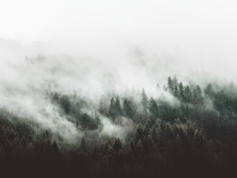 Obraz Wieloczęściowy Mglisty Krajobraz Leśny 3D Canvas 80x60 LBS-1896-C80-60_2X20-60_2X20-40