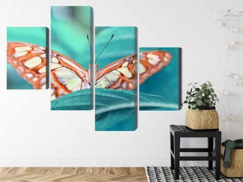 Obraz Wieloczęściowy Motyl Na Liściu W Skali Makro Canvas Naturalny 80x50 LBS-3941-NC80-50_2X20-50_2X20-30