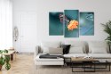 Obraz Wieloczęściowy Motyl W Letnim Ogrodzie Canvas 120x80 LBS-3829-C120-80_1X40-80_2X40-60