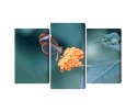 Obraz Wieloczęściowy Motyl W Letnim Ogrodzie Canvas 150x100 LBS-3829-C150-100_1X50-100_2X50-75