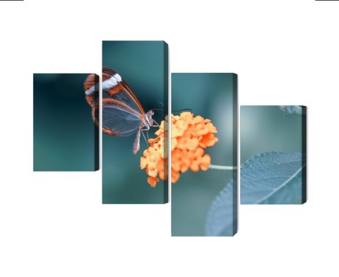 Obraz Wieloczęściowy Motyl W Letnim Ogrodzie Canvas Naturalny 160x100 LBS-3831-NC160-100_2X40-100_2X40-60