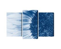 Obraz Wieloczęściowy Niebieski Słonecznik W Skali Makro Canvas Naturalny 90x60 LBS-3909-NC90-60_1X30-60_2X30-45