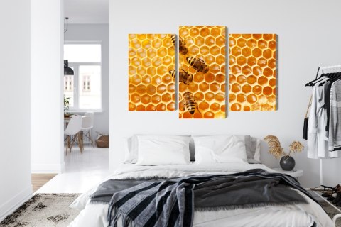 Obraz Wieloczęściowy Pszczoły Na Plastrze Miodu Canvas 120x80 LBS-3889-C120-80_1X40-80_2X40-60