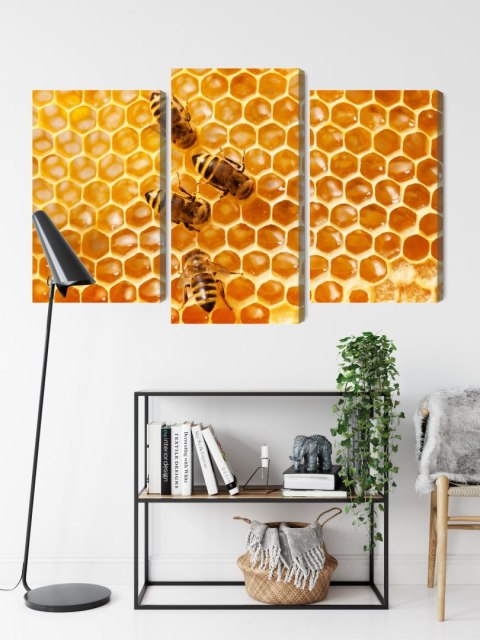 Obraz Wieloczęściowy Pszczoły Na Plastrze Miodu Canvas 120x80 LBS-3889-C120-80_1X40-80_2X40-60