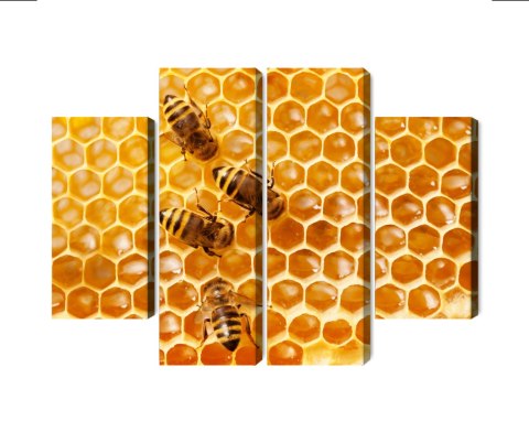 Obraz Wieloczęściowy Pszczoły Na Plastrze Miodu Canvas 80x60 LBS-3890-C80-60_2X20-60_2X20-40