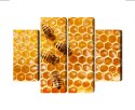 Obraz Wieloczęściowy Pszczoły Na Plastrze Miodu Canvas Naturalny 80x60 LBS-3890-NC80-60_2X20-60_2X20-40