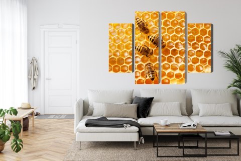 Obraz Wieloczęściowy Pszczoły Na Plastrze Miodu Canvas Naturalny 80x60 LBS-3890-NC80-60_2X20-60_2X20-40