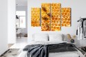 Obraz Wieloczęściowy Pszczoły Na Plastrze Miodu Canvas Naturalny 80x60 LBS-3890-NC80-60_2X20-60_2X20-40