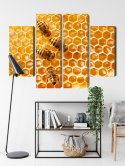 Obraz Wieloczęściowy Pszczoły Na Plastrze Miodu Canvas Naturalny 80x60 LBS-3890-NC80-60_2X20-60_2X20-40