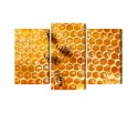 Obraz Wieloczęściowy Pszczoły Na Plastrze Miodu Canvas Naturalny 90x60 LBS-3889-NC90-60_1X30-60_2X30-45