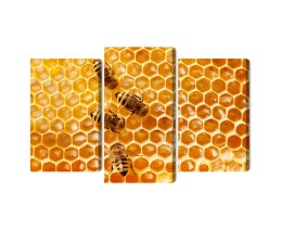 Obraz Wieloczęściowy Pszczoły Na Plastrze Miodu Canvas Naturalny 90x60 LBS-3889-NC90-60_1X30-60_2X30-45