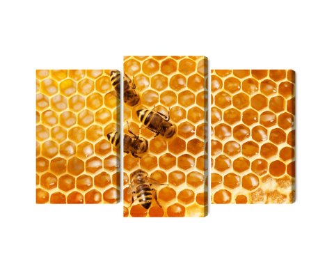 Obraz Wieloczęściowy Pszczoły Na Plastrze Miodu Canvas Naturalny 90x60 LBS-3889-NC90-60_1X30-60_2X30-45