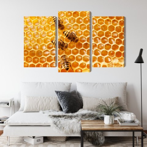 Obraz Wieloczęściowy Pszczoły Na Plastrze Miodu Canvas Naturalny 90x60 LBS-3889-NC90-60_1X30-60_2X30-45