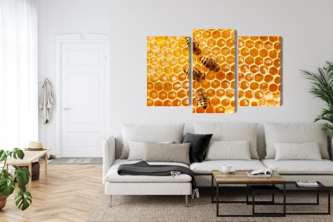 Obraz Wieloczęściowy Pszczoły Na Plastrze Miodu Canvas Naturalny 90x60 LBS-3889-NC90-60_1X30-60_2X30-45