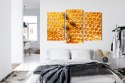 Obraz Wieloczęściowy Pszczoły Na Plastrze Miodu Canvas Naturalny 90x60 LBS-3889-NC90-60_1X30-60_2X30-45