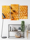 Obraz Wieloczęściowy Pszczoły Na Plastrze Miodu Canvas Naturalny 90x60 LBS-3889-NC90-60_1X30-60_2X30-45
