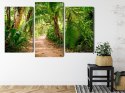 Obraz Wieloczęściowy Ścieżka W Tropikalnym Lesie 3D Canvas Naturalny 90x60 LBS-1955-NC90-60_1X30-60_2X30-45
