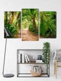 Obraz Wieloczęściowy Ścieżka W Tropikalnym Lesie 3D Canvas Naturalny 90x60 LBS-1955-NC90-60_1X30-60_2X30-45