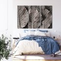 Obraz Wieloczęściowy Szare Liście W Skali Makro Canvas 120x80 LBS-3863-C120-80_3X40-80