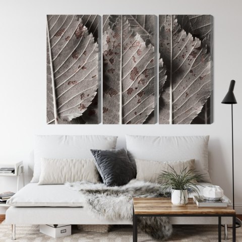 Obraz Wieloczęściowy Szare Liście W Skali Makro Canvas 120x80 LBS-3863-C120-80_3X40-80