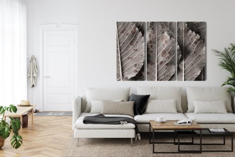 Obraz Wieloczęściowy Szare Liście W Skali Makro Canvas 120x80 LBS-3863-C120-80_3X40-80