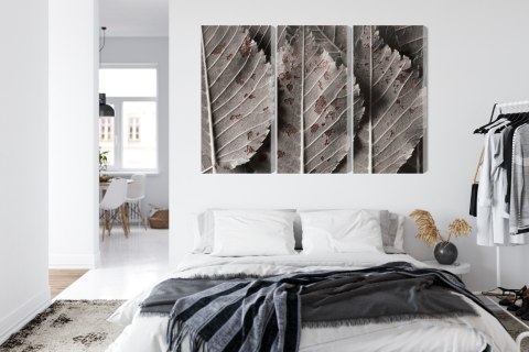 Obraz Wieloczęściowy Szare Liście W Skali Makro Canvas 120x80 LBS-3863-C120-80_3X40-80