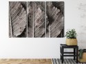 Obraz Wieloczęściowy Szare Liście W Skali Makro Canvas 120x80 LBS-3863-C120-80_3X40-80