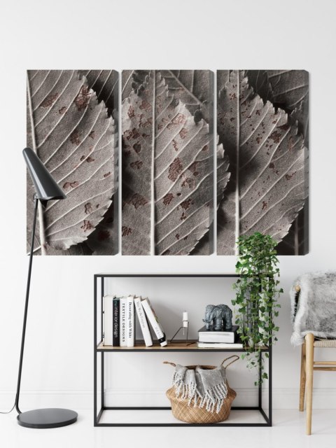 Obraz Wieloczęściowy Szare Liście W Skali Makro Canvas 120x80 LBS-3863-C120-80_3X40-80