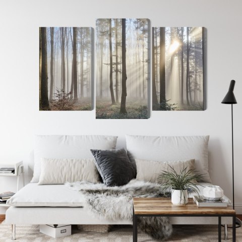 Obraz Wieloczęściowy Wschód Słońca W Lesie Canvas 120x80 LBS-1853-C120-80_1X40-80_2X40-60
