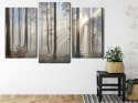 Obraz Wieloczęściowy Wschód Słońca W Lesie Canvas 120x80 LBS-1853-C120-80_1X40-80_2X40-60