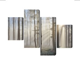 Obraz Wieloczęściowy Wschód Słońca W Lesie Canvas Naturalny 80x50 LBS-1855-NC80-50_2X20-50_2X20-30