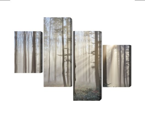 Obraz Wieloczęściowy Wschód Słońca W Lesie Canvas Naturalny 80x50 LBS-1855-NC80-50_2X20-50_2X20-30