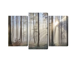 Obraz Wieloczęściowy Wschód Słońca W Lesie Canvas Naturalny 90x60 LBS-1853-NC90-60_1X30-60_2X30-45