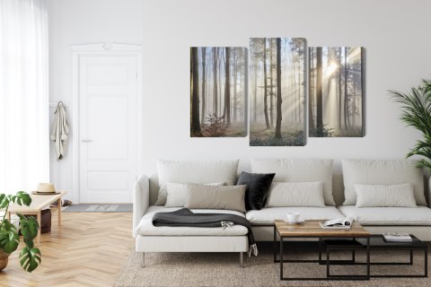 Obraz Wieloczęściowy Wschód Słońca W Lesie Canvas Naturalny 90x60 LBS-1853-NC90-60_1X30-60_2X30-45