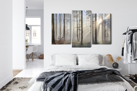 Obraz Wieloczęściowy Wschód Słońca W Lesie Canvas Naturalny 90x60 LBS-1853-NC90-60_1X30-60_2X30-45