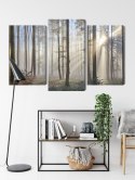 Obraz Wieloczęściowy Wschód Słońca W Lesie Canvas Naturalny 90x60 LBS-1853-NC90-60_1X30-60_2X30-45