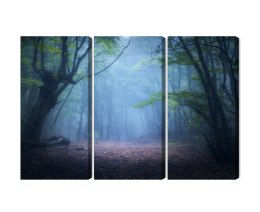 Obraz Wieloczęściowy Zamglony Leśny Krajobraz 3D Canvas 120x80 LBS-1909-C120-80_3X40-80