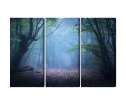 Obraz Wieloczęściowy Zamglony Leśny Krajobraz 3D Canvas 120x80 LBS-1909-C120-80_3X40-80