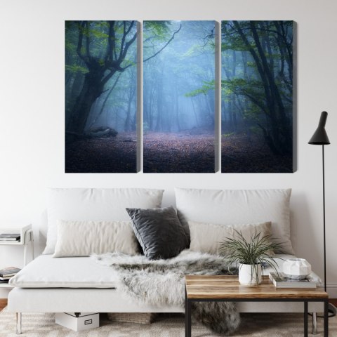 Obraz Wieloczęściowy Zamglony Leśny Krajobraz 3D Canvas 120x80 LBS-1909-C120-80_3X40-80