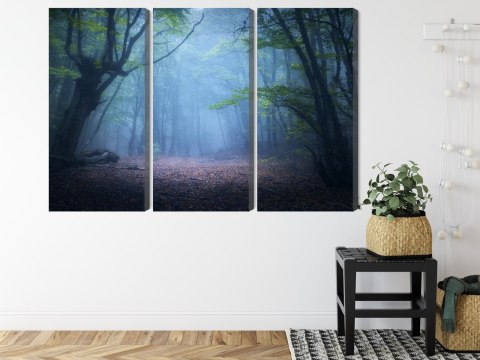 Obraz Wieloczęściowy Zamglony Leśny Krajobraz 3D Canvas 120x80 LBS-1909-C120-80_3X40-80