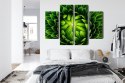 Obraz Wieloczęściowy Zielona Roślina W Skali Makro Canvas Naturalny 80x60 LBS-3710-NC80-60_2X20-60_2X20-40