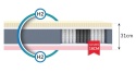 Materac multipocketowy H2 COMFORT MAX 160x200x31 BAMBOO