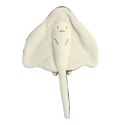 Eco Nation - Pluszowa maskotka / przytulanka Płaszczka 30 cm Eco-Friendly