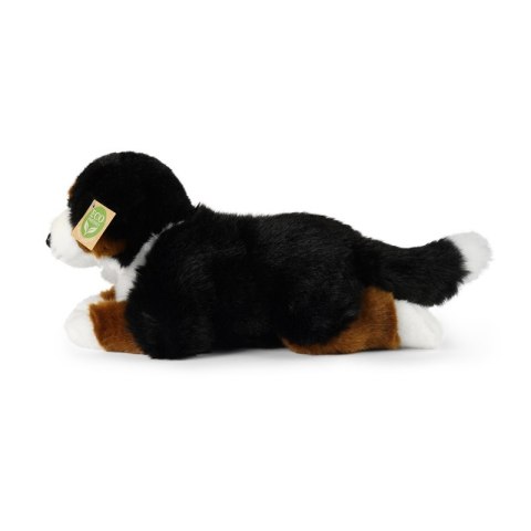 Rappa - Pluszowa realistyczna maskotka Berneński Pies Pasterski leżący 34 cm Eco-Friendly